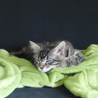 Photo #250309 de Kiara