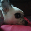 Le regard qui tue -lol-