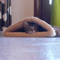Photo #250388 de Kiara