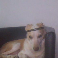 Photo #250436 de Sami