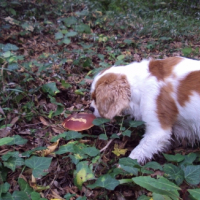 Photo #250525 de Elfy