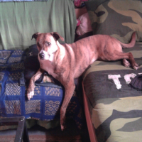 Photo #250530 de Myla