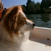 Sur un bateau !