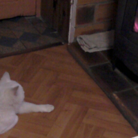 Photo #250702 de Sanghaï