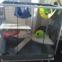 Sa nouvelle cage ! (depuis 0ctobre 2012)