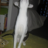 Photo #250729 de Ever