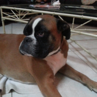 Photo #250862 de Earley 