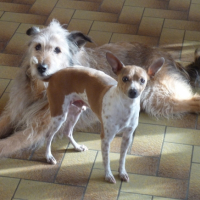 Photo #250892 de Gladis