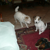 Photo #250992 de Genny