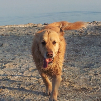 Photo #250995 de Polkan
