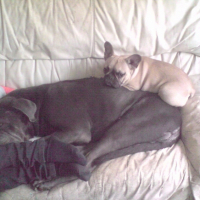 Photo #251036 de Winston
