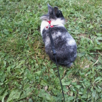 Promenade :D