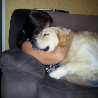 Photo #251414 de Genzo