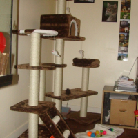 Mon espace de jeu :-)