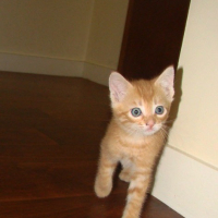 Photo #251500 de Texas
