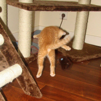 Photo #251506 de Texas