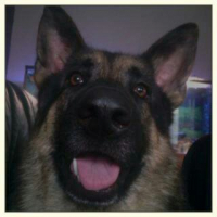 Photo #251529 de Foxy