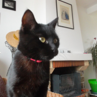 Photo #251537 de Lili
