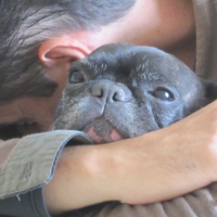 Photo #251565 de Utess