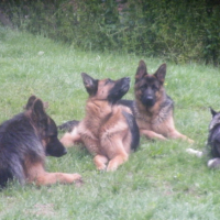 Photo #251584 de Félicie 