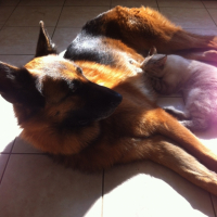 Photo #251585 de Félicie 