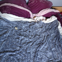 Photo #251634 de Elka