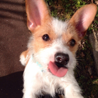 Photo #251677 de Elka