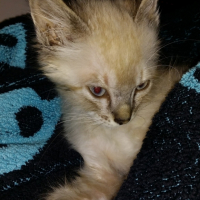 Propre après le bain