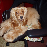 Photo #251737 de Fiona