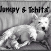 Jumpy & son doudou