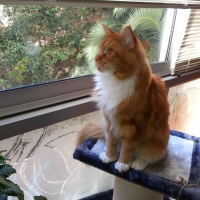 Photo #251919 de igor