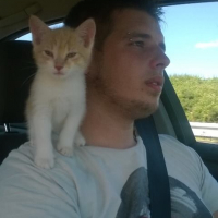 Photo #251950 de Kitty 