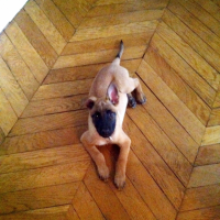 Photo #252085 de Lexy