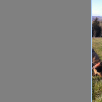Photo #252148 de Ixel
