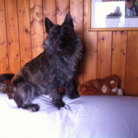 Photo #252149 de Ixel