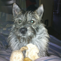 Photo #252151 de Ixel