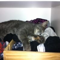 Photo #252198 de Maya