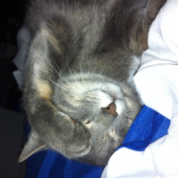 Photo #252201 de Maya