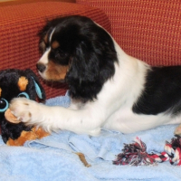 Photo #252224 de INAYA