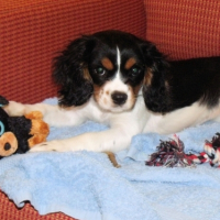 Photo #252225 de INAYA