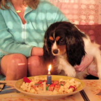 Photo #252231 de INAYA