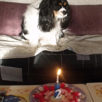 Photo #252234 de INAYA