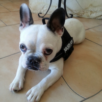Photo #252283 de Jessy