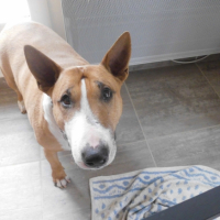 Photo #252556 de zoé