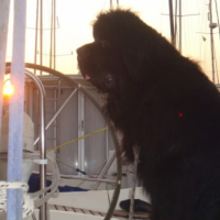 Photo #252673 de COCO