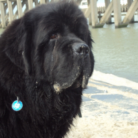 Photo #252686 de COCO