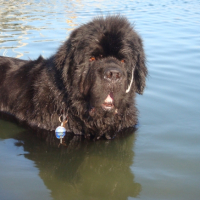 Photo #252687 de COCO