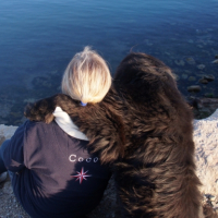 Photo #252690 de COCO