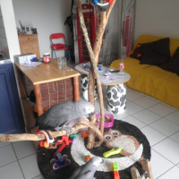 Photo #252691 de Haddock & Tango
