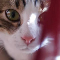 Photo #252740 de FILOU